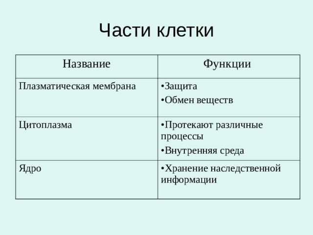 Название Функции Плазматическая мембрана Защита Обмен веществ Цитоплазма Протекают различные процессы Внутренняя среда Ядро