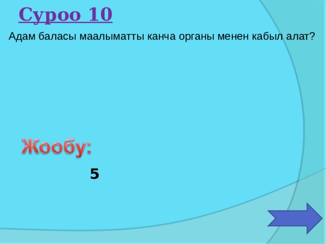 Суроо 10 Адам баласы маалыматты канча органы менен кабыл алат? 5 