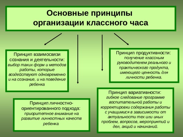 Принципы детских организаций