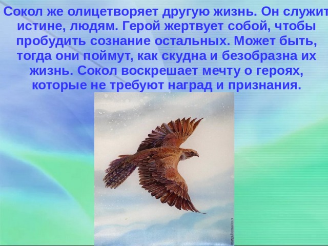 Сокол горький анализ. Максим Горький песня о Соколе. Же Сокол.