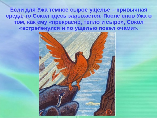 Если для Ужа темное сырое ущелье – привычная среда, то Сокол здесь задыхается. После слов Ужа о том, как ему «прекрасно, тепло и сыро», Сокол «встрепенулся и по ущелью повел очами». 