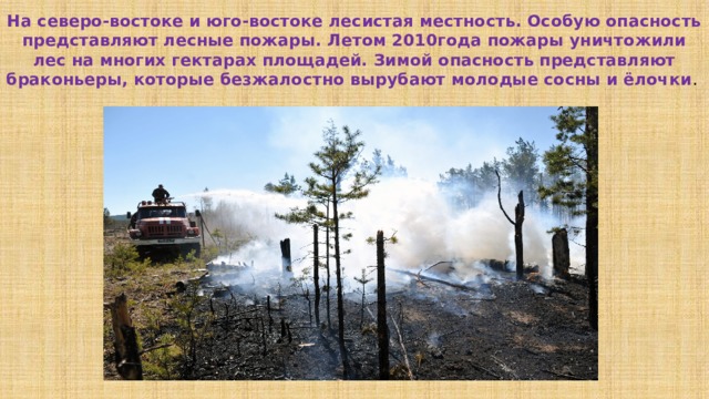 На северо-востоке и юго-востоке лесистая местность. Особую опасность представляют лесные пожары. Летом 2010года пожары уничтожили лес на многих гектарах площадей. Зимой опасность представляют браконьеры, которые безжалостно вырубают молодые сосны и ёлочки . 