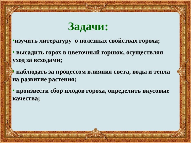 Задача про горох. Выращивание гороха задачи. Презентация о выращивании гороха. Презентация горох 4 класс функциональная грамотность.