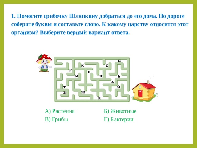 1. Помогите грибочку Шляпкину добраться до его дома. По дороге соберите буквы и составьте слово. К какому царству относится этот организм? Выберите верный вариант ответа. А) Растения    Б) Животные В) Грибы     Г) Бактерии 