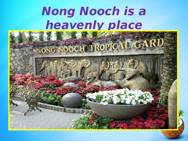Nong Nooch is a heavenly place 