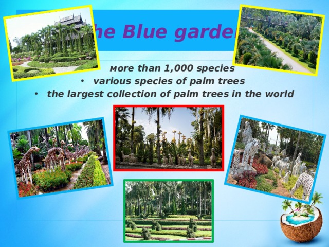 the Blue garden  мore than 1,000 species various species of palm trees the largest collection of palm trees in the world 