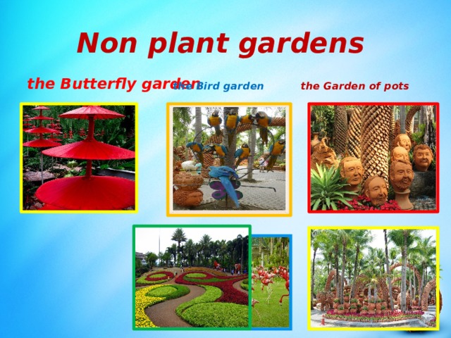Non plant gardens the Butterfly garden  the Bird garden the Garden of pots 