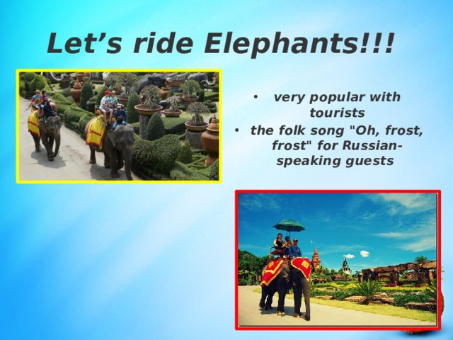 Let’s ride Elephants!!! very popular with tourists the folk song 