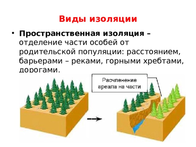 Факторы изоляции. Пространственная и биологическая изоляция. Типы изоляции в биологии. Виды изоляции популяций. Пространственная изоляция это в биологии.