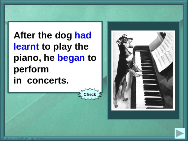 After the dog (to learn) to play the piano, he (to begin) to perform  in concerts. After the dog had  learnt to play the piano, he began to perform  in concerts. Check 