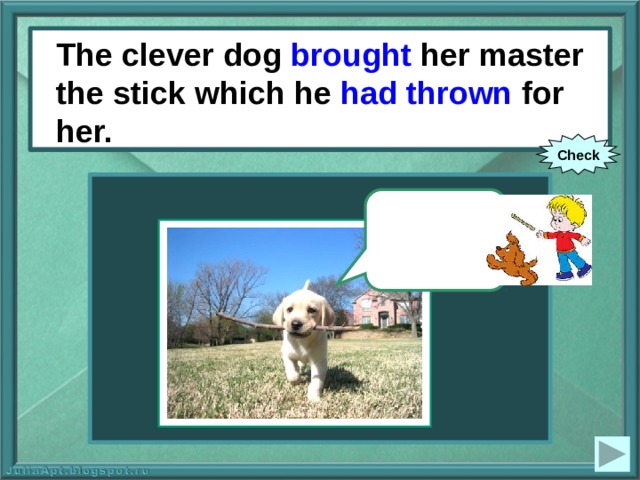 The clever dog brought her master the stick which he had thrown for her. The clever dog (to bring) her master the stick which he (to throw) for her. Check 
