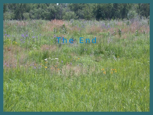 The End 