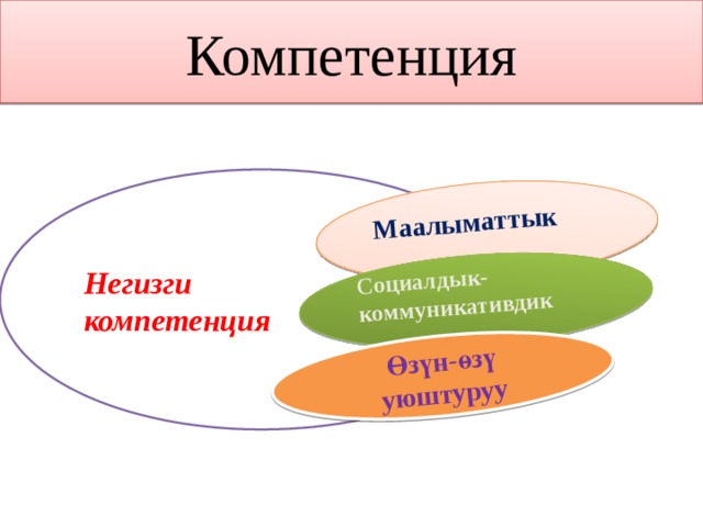 Компетенция Маалыматтык    Социалдык-коммуникативдик    Өз үн-өзү уюштуруу Негизги компетенция 