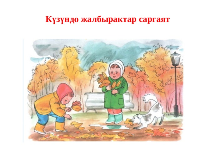 Күзүндо жалбырактар саргаят 