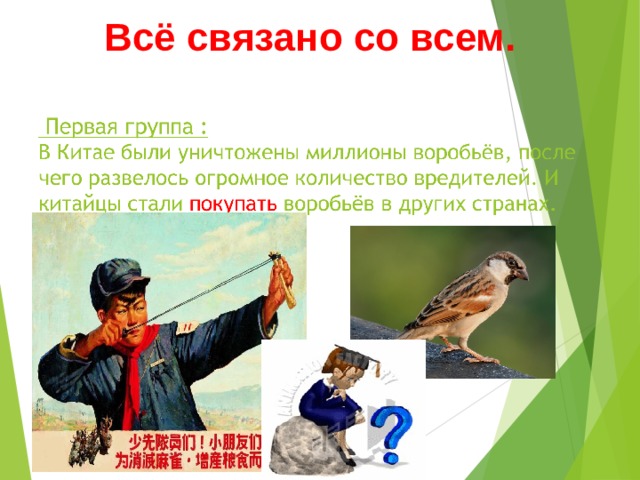 Все связано со всем. Все связанносо со вчем. Все связано со всем экология. Все свящаносо всем экология.