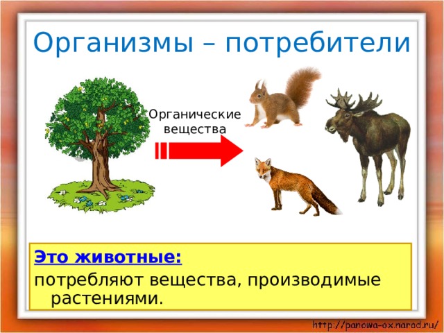 3 класс окружающий мир великий круговорот жизни