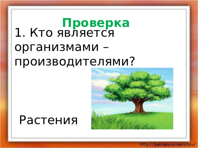 Великий круговорот жизни тест. Кто является организмами производителями. Кто является организмами производителями 3 класс. Кто является производителями организмами елями. Какие организмы являются производителями.