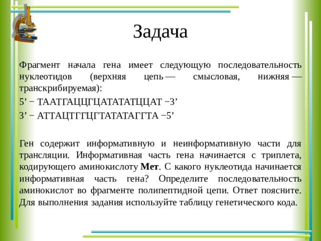 Фрагмент начала цепи имеет следующую последовательность. Фрагмент начала Гена имеет следующую последовательность нуклеотидов. Информативная часть Гена. Ген содержит информативную и неинформативную части для трансляции.. Информативная и неинформативная часть Гена.