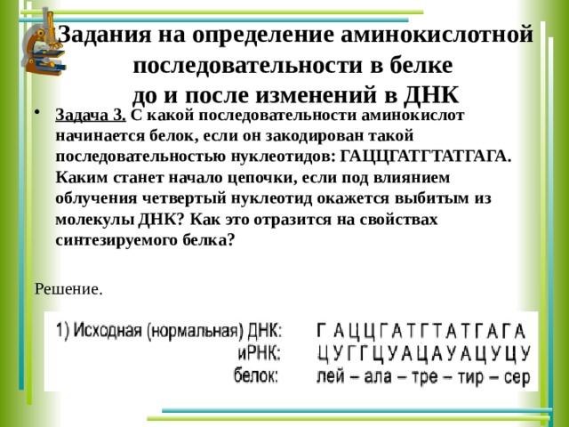 В молекуле белка следующая последовательность аминокислот