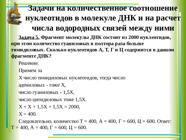 900 нуклеотидов кодируют. Количество нуклеотидов в ДНК. Определилите количество водородных связей. Количество нуклеотидов в молекуле. Задачи на водородные связи в молекуле ДНК.