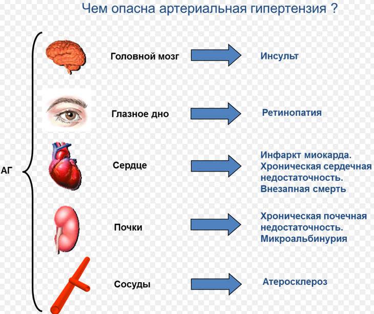 Пилефлебит причины развития патогенез клиническая картина методы диагностики и лечения