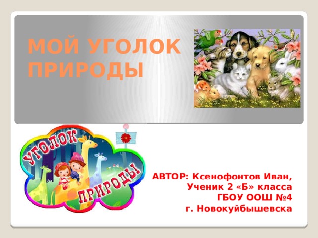 МОЙ УГОЛОК  ПРИРОДЫ       АВТОР: Ксенофонтов Иван,  Ученик 2 «Б» класса  ГБОУ ООШ №4 г. Новокуйбышевска 