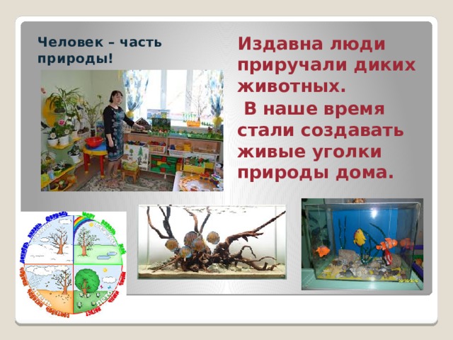 Издавна люди приручали диких животных.  В наше время стали создавать живые уголки природы дома. Человек – часть природы! 