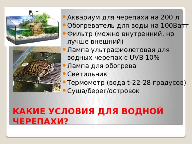 Аквариум для черепахи на 200 л Обогреватель для воды на 100Ватт Фильтр (можно внутренний, но лучше внешний) Лампа ультрафиолетовая для водных черепах с UVB 10% Лампа для обогрева Светильник Термометр (вода t-22-28 градусов) Суша/берег/островок КАКИЕ УСЛОВИЯ ДЛЯ ВОДНОЙ ЧЕРЕПАХИ? 