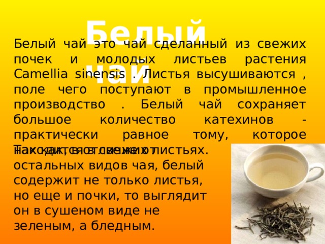 Белый чай Белый чай это чай сделанный из свежих почек и молодых листьев растения Camellia sinensis . Листья высушиваются , поле чего поступают в промышленное производство . Белый чай сохраняет большое количество катехинов - практически равное тому, которое находится в свежих листьях. Так как, в отличие от остальных видов чая, белый содержит не только листья, но еще и почки, то выглядит он в сушеном виде не зеленым, а бледным. 