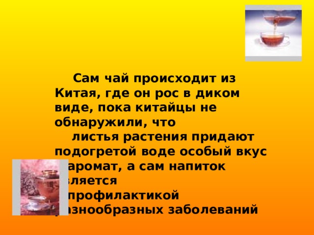     Сам чай происходит из Китая, где он рос в диком виде, пока китайцы не обнаружили, что  листья растения придают подогретой воде особый вкус и аромат, а сам напиток является  профилактикой разнообразных заболеваний  