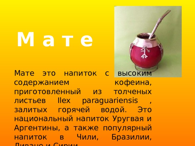 М а т е Мате это напиток с высоким содержанием кофеина, приготовленный из толченых листьев Ilex paraguariensis , залитых горячей водой. Это национальный напиток Уругвая и Аргентины, а также популярный напиток в Чили, Бразилии, Ливане и Сирии. 