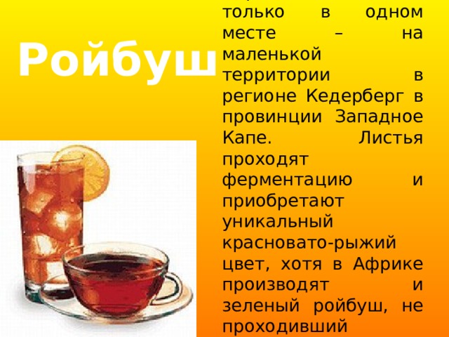 Ройбуш выращивается только в одном месте – на маленькой территории в регионе Кедерберг в провинции Западное Капе. Листья проходят ферментацию и приобретают уникальный красновато-рыжий цвет, хотя в Африке производят и зеленый ройбуш, не проходивший процесс ферментации. Ройбуш 