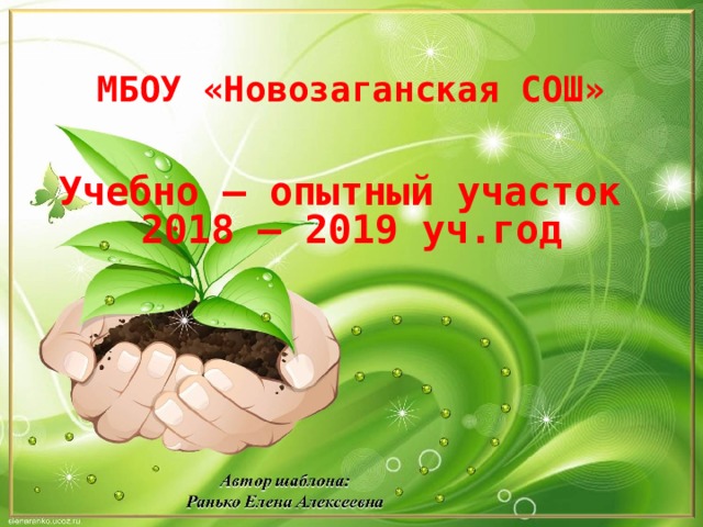 МБОУ «Новозаганская СОШ»   Учебно – опытный участок 2018 – 2019 уч.год 