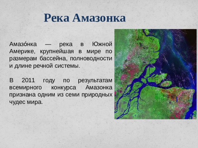 Описание реки амазонка география