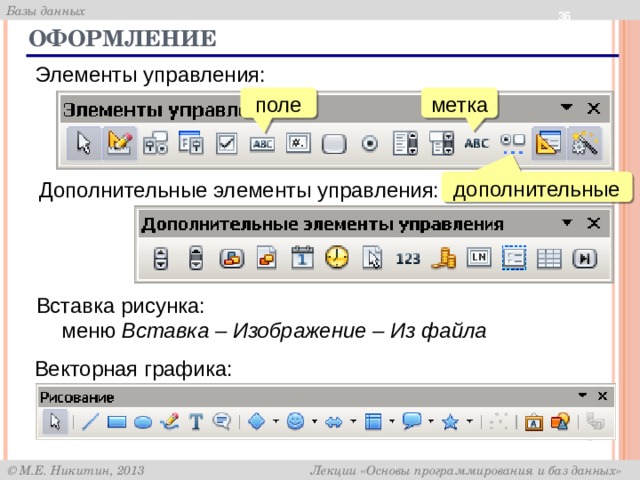  Оформление Элементы управления: метка поле дополнительные Дополнительные элементы управления: Вставка рисунка: меню Вставка – Изображение – Из файла Векторная графика: 