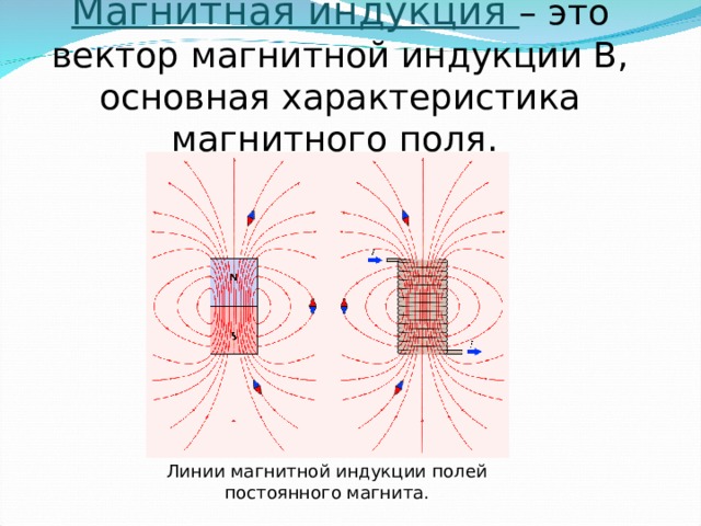 Магнитная индукция – это вектор магнитной индукции В, основная характеристика магнитного поля. Линии магнитной индукции полей постоянного магнита. 