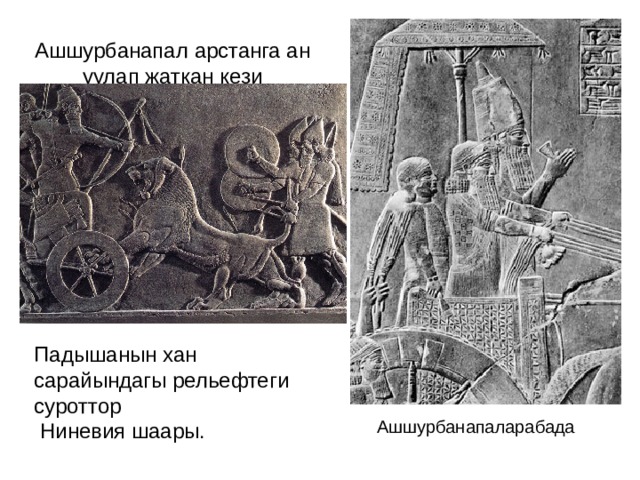 Ашшурбанапал арстанга ан уулап жаткан кези Падышанын хан сарайындагы рельефтеги суроттор  Ниневия шаары. Ашшурбанапаларабада 