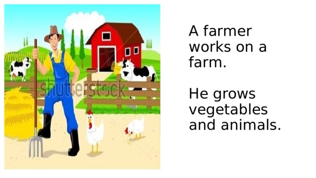 A farmer works on a farm.   He grows vegetables and animals. 
