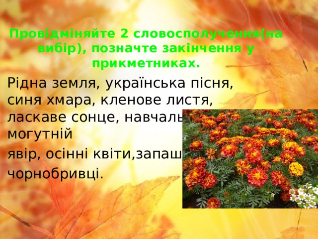 Провідміняйте 2 словосполучення(на вибір), позначте закінчення у прикметниках. Рідна земля, українська пісня, синя хмара, кленове листя, ласкаве сонце, навчальний рік, могутній явір, осінні квіти,запашні чорнобривці. 