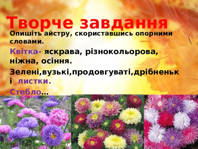 Творче завдання Опишіть айстру, скориставшись опорними словами. Квітка- яскрава, різнокольорова, ніжна, осіння. Зелені,вузькі,продовгуваті,дрібненькі листки. Стебло … 