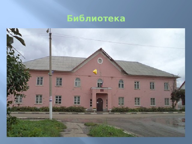 Библиотека 