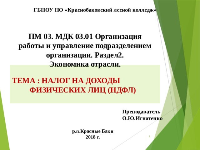 Билеты мдк 03.01. Презентация на тему НДФЛ. ПМ 03 МДК 03.01.