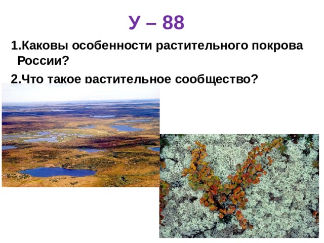 У – 88 Каковы особенности растительного покрова России? Что такое растительное сообщество? 