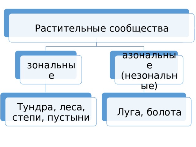 Растительные сообщества зональные азональные (незональные) Тундра, леса, степи, пустыни Луга, болота 