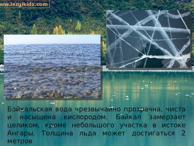 www.lezgikids.com Байкальская вода чрезвычайно прозрачна, чиста и насыщена кислородом. Байкал замерзает целиком, кроме небольшого участка в истоке Ангары. Толщина льда может достигаться 2 метров 