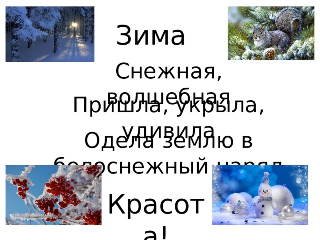 Зима Снежная, волшебная Пришла, укрыла, удивила Одела землю в белоснежный наряд Красота! 