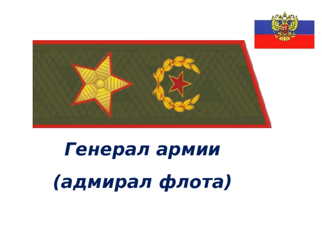 Генерал армии (адмирал флота) 