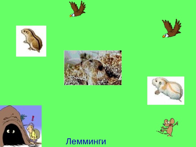 Лемминги 