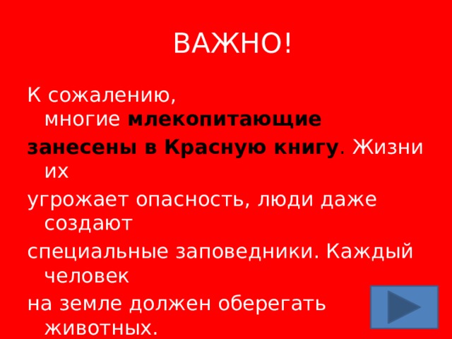 ВАЖНО! К сожалению, многие   млекопитающие занесены в Красную книгу . Жизни их угрожает опасность, люди даже создают специальные заповедники. Каждый человек на земле должен оберегать животных. 