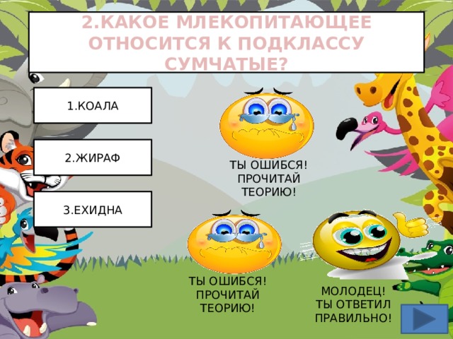 2.КАКОЕ МЛЕКОПИТАЮЩЕЕ ОТНОСИТСЯ К ПОДКЛАССУ СУМЧАТЫЕ? 1.КОАЛА 2.ЖИРАФ ТЫ ОШИБСЯ! ПРОЧИТАЙ ТЕОРИЮ! 3.ЕХИДНА ТЫ ОШИБСЯ! ПРОЧИТАЙ ТЕОРИЮ! МОЛОДЕЦ!  ТЫ ОТВЕТИЛ ПРАВИЛЬНО! 